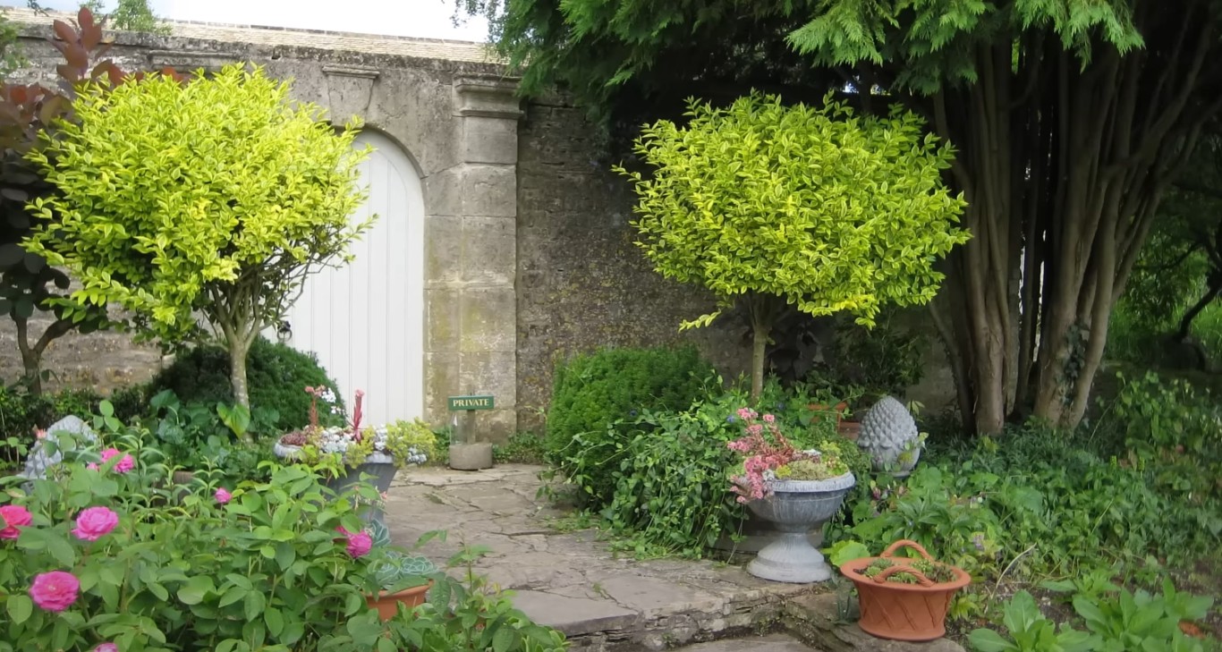 Garden entrance with stone archway and manicured topiary trees
